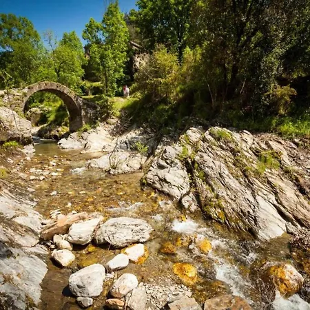 Tatil Evi Garden Escape