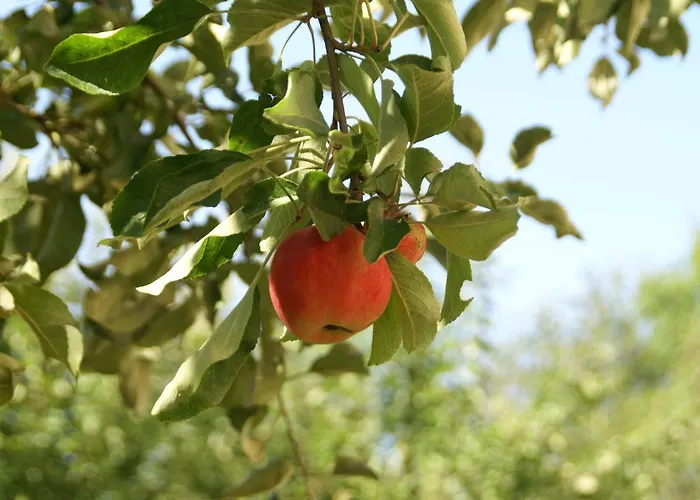 Holiday home Garden Escape